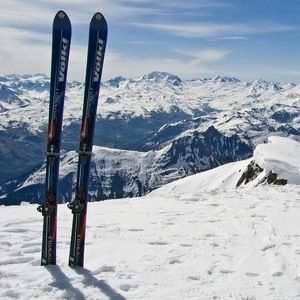 Meet your Posher, Ella